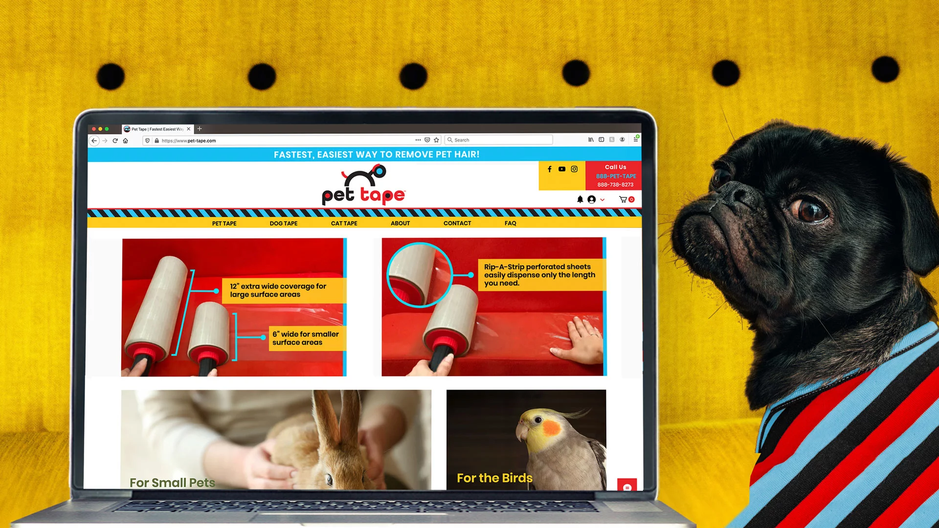 Pet Tape Website Design & Maintenance