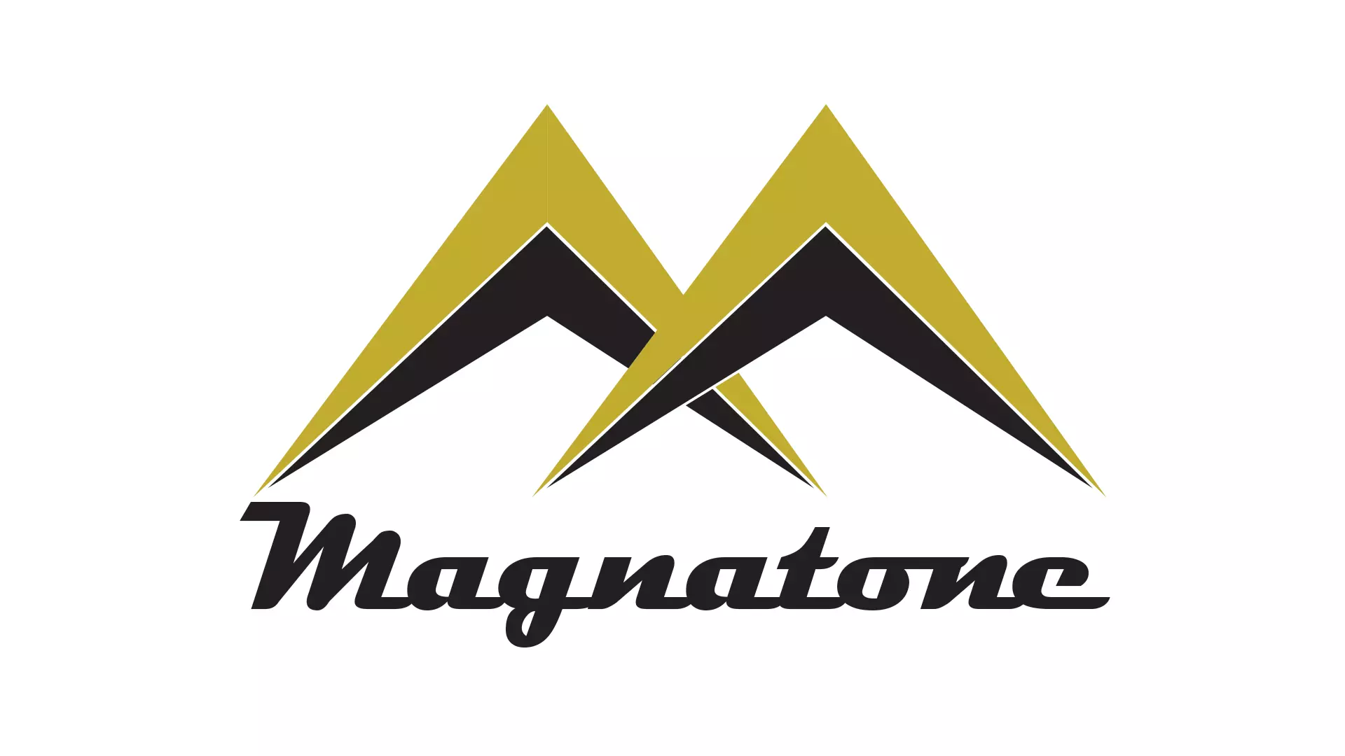 Magnatone Brand Identity